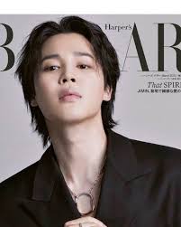 The Face Of K-pop 2025 (Charity Campaign) VOTE