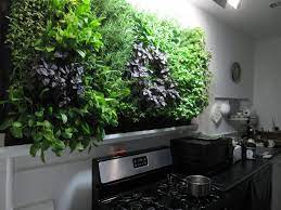 Jungle Walls Hydroponic Herb Wall Is In Herb Garden In Kitchen Growing Food Indoors Herb Garden Wall