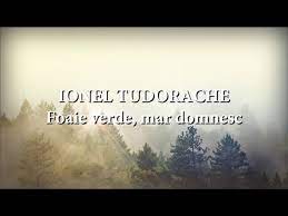 Foaie verde mar domnesc alexandru marian vioara. Ionel Tudorache Foaie Verde Mar Domnesc Versuri Lyrics Karaoke Youtube