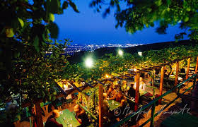 Manfred Horvath Gastgarten Des Heurigen Sirbu Mit Blick Auf Wien Wien Gastgarten Heuriger