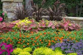 Flower Gardens In The South Landscape Atlanta Jenny Hardgrave Texas Landscaping Plants Landscaping Atlanta