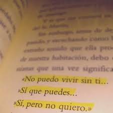 No Te Olvido Tumblr Libros De Amor Frases Bonitas Citas De Libros Amor
