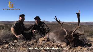 If your polaris is the most important member of your hunting party, you've got to be sure it can carry its weight. Hunting Inspiration With Side By Side Safaris Part 2 Youtube