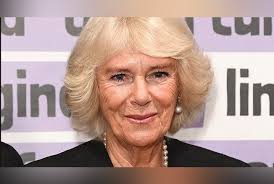 Le prince Harry tacle la reine consort Camilla Parker Bowles qui n'a pas  tardé à