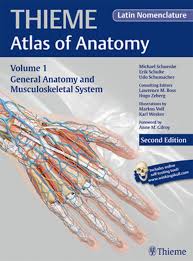Netters atlas of human anatomy 6th edition. General Anatomy And Musculoskeletal System Thieme Atlas Of Anatomy Latin Nomenclature Ebook By Michael Schuenke 9781626230835 Rakuten Kobo United States