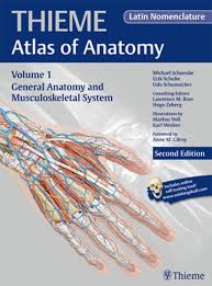 This second edition of volume 3 in the thieme atlas of anatomy series. General Anatomy And Musculoskeletal System Thieme Atlas Of Anatomy Latin Nomenclature Ebook By Michael Schuenke 9781626230835 Rakuten Kobo United States