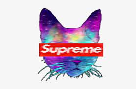 Shop cyberpowerpc gamer supreme liquid cool gaming desktop amd ryzen 7 2700x 16gb memory amd radeon rx 590 8gb 2tb hdd + 240gb ssd white at best buy. Cat Tumblr Supreme Cool Catsofpicsart Galaxy Supremest Cool Supreme Free Transparent Png Download Pngkey