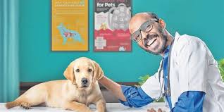 A pup named charlie who enters his life and gives him a new perspective. Raj B Shetty Plays Key Role In Kiranraj S Directorial Debut 777 Charlie The New Indian Express
