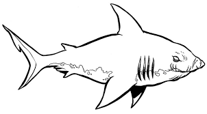 A hammerhead can see up and down at the same time. Monster Shark Coloring Page Free Printable Coloring Pages For Kids