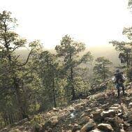 Neue Puffy Gesucht Ausrustung Ultraleicht Trekking