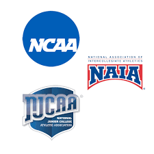 Regular season games usually present too few opportunities to hone a skill. End Of Season Softball Player Self Evaluation Form Softball Mendocino College Evaluating Players Is Part Of The Business Iamanevilrobotni