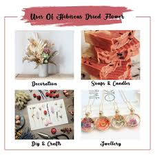 Dried flowers for soap making india. Dried Hibiscus Flower Buy Dried Hibiscus Flower Online At Best Price In India Bulk Distributor Vedaoils Com