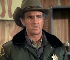 I'll be playing Sergeant Green in the one-man show “Small Steps Save  Lives”, produced by Charisma Wooten's Mary's First Child, September 25th at  Ft. Meade, Maryland