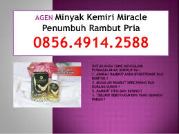 Selain mengandalkan masker rambut alami, kerontokan rambut juga bisa dicegah lewat banyak cara. 085649142588 Agen Obat Alami Biar Rambut Gak Rontok Dan Obat Rambut