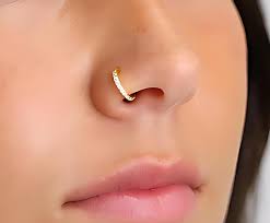 Paved Septum 18G Clicker Hoop Earring, Nose Ring, Conch Hoop, Cartilage  Hoop • Daith Hoop • Tragus Hoop • Rook Hoop, Piercing