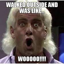 (bijan 4 the 1 time) / metro boomin want some more, nigga! Ric Flair S Dank Memes Posts Facebook