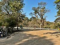 SANJAY GANDHI NATIONAL PARK (Updated ...