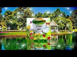 صباح الخير ـ صباح الورد ـ صباح الفل ـ صباحيات ـ بطاقة صباحية حالات واتس youtube in 2021