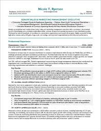 resume objective examples distinctive