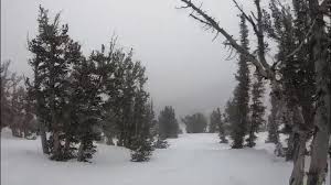 The roads should be cleared and it should be just beautiful to see the. Lake Tahoe Weather Storm Could Bring 7 Inches Of Snow Above 7 000 Feet Tahoedailytribune Com