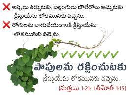 Bitter herbs are a collective term used for lettuce, horehound, tansy, horseradish, endive and coriander seeds. Pin By Saritha Jonnala On Telugu Bible Quotes Bible Quotes Quotes Bible