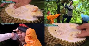 The rest of the casts: Netizen Malaysia Pening Lihat Ahli Law Of The Jungle Potong Durian Komen Rasa Macam Nenas Kimchidaily My