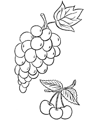 We have collected 38+ vine coloring page images of various designs for you to color. Grapes On A Vine Colouring Pages Coloring Home