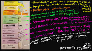 Anaesthetic Drugs In 10 Minutes All Of Them Pharmacology