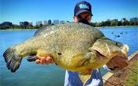 Fishing, boating, tennis, golf and surfing are permitted as exercise. Fishing And Boating Allowed Across Victoria Vr Fish