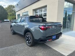 Image result for Hampton Gray 2024 Santa Cruz