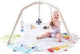 The Play Gym by Lovevery Lovevery