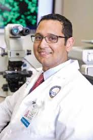 ucla pathology and laboratory medicine