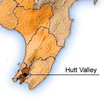 Healthpages is a leading online reference resource for all new zealanders. Hutt Valley Dhb Ministry Of Health Nz