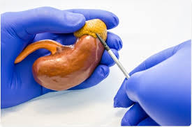 How Is Adrenal Cancer Treated