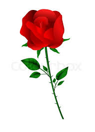 Vector Red Rose On White Stock Vector Colourbox Download single red rose images and photos. vector red rose on white stock vector