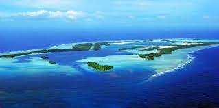 Make a difference in palmyra atoll. The Ray And The Coconut Tracing Life On Palmyra Atoll The New York Times