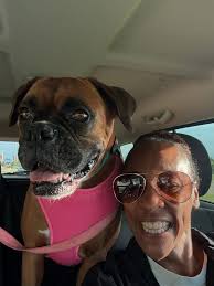 Prayers for beloved dog with brain mass