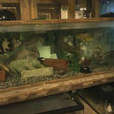 Photos At Eds Pet World - Pet Store