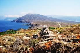 With its 52 square km, asinara is the second largest island of sardinia.it's located off the north west coast of sardinia. Asinara National Park Sardinia