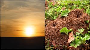 Adalah isu yang masih hangat dibicarakan. 10 Deteksi Manual Untuk Memprediksi Kapan Akan Hujan Tak 100 Akurat Tapi Layak Diterapkan