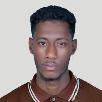 100+ "Ali Afifi" profiles