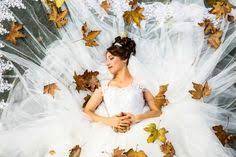 Ich bitte ein schönes brautkleid in. 77 Ratgeber Magazine Ideen Verfassungsbeschwerde Draussen Schlafen Hochzeitskleid Silhouette