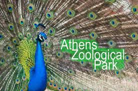 Athens Zoo Athens Madrid Attica