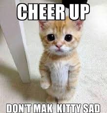 Whats it called again when uthinkurcrushlikes u ohveamhimagination unnybeing.com 31 most funny romantic. 25 Cute Memes To Make You Feel Better
