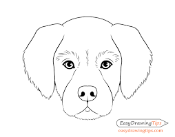 Video by art for kids hub. Dog Head Front View Drawing Step By Step Easydrawingtips Dog Drawing Simple Dog Face Drawing Easy Drawings Sketches