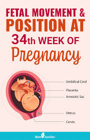Pin On Feminine Facts Tips