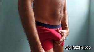 Brazilian hairy guy with a huge cock jerks off - XNXX.COM