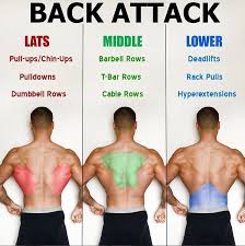 2 Easy Stretches Your Tight Lats Guide Weight Training Workouts Gym Workout Tips Workout Routine