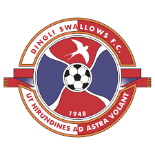 All information about swallows fc (dstv premiership) current squad with market values transfers rumours player stats fixtures news. Dingli Swallows Fc Logo Download Logo Icon Png Svg