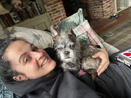 Gizmo has settled in to foster life with us! Absolute little legend.  ♥️♥️♥️♥️